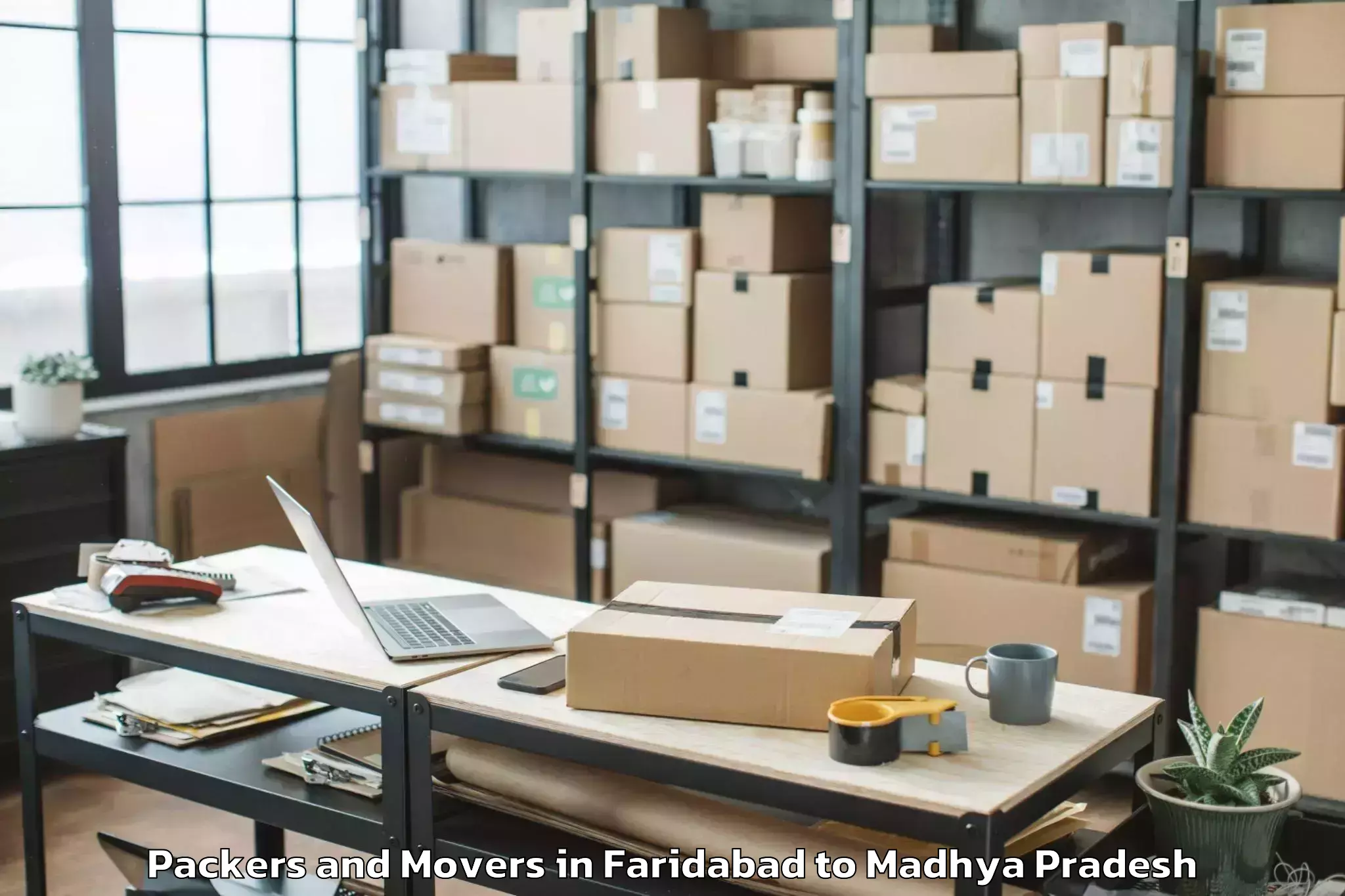 Professional Faridabad to Mandsaur Packers And Movers